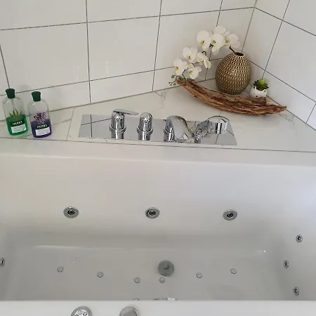 Luxurioeses Galerie-penthouse Direkt Am Walensee Unterterzen