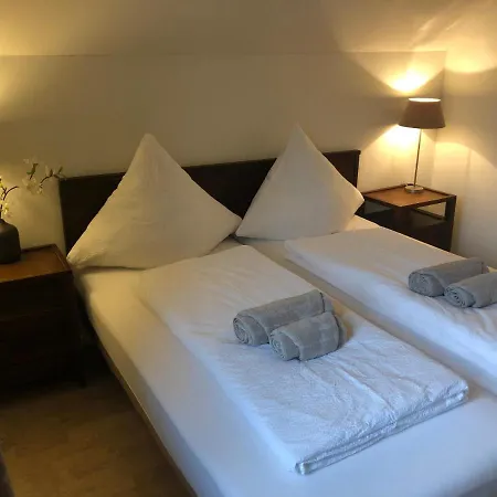 Luxurioeses Galerie-penthouse Direkt Am Walensee Unterterzen