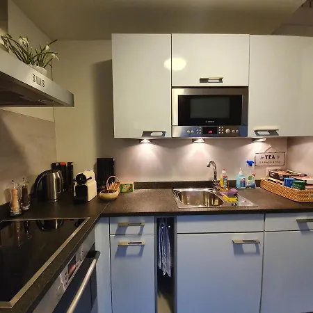 Luxurioeses Galerie-penthouse Direkt Am Walensee Apartment