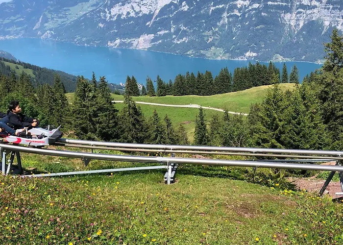 شقة Luxurioeses Galerie-penthouse Direkt Am Walensee انتيرتيرزين