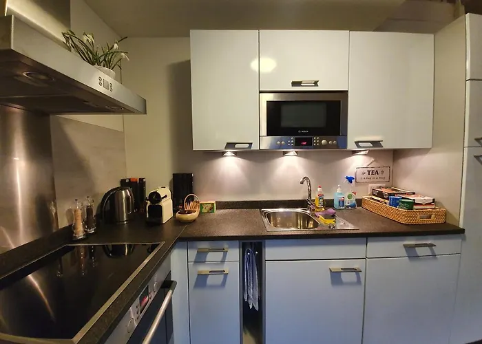 Luxurioeses Galerie-penthouse Direkt Am Walensee Appartement